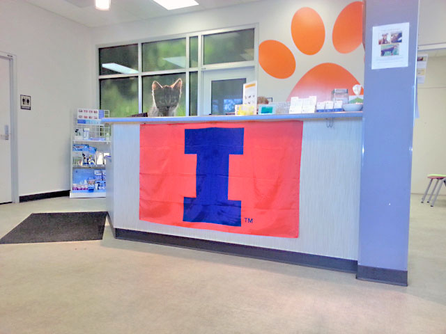 Medical District Veterinary Clinic at Illinois Reception Desk