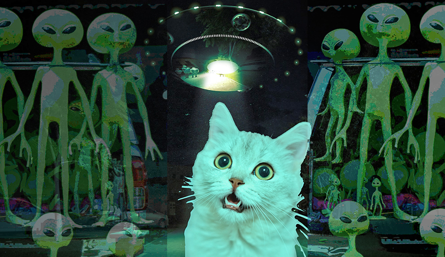 alien-cat-kritzman-blog.jpg