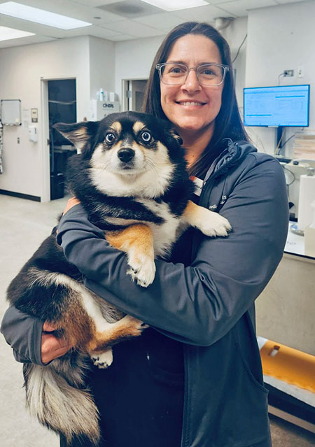 Dr. Alyssa Kritzman holds a canine patient, Fluki